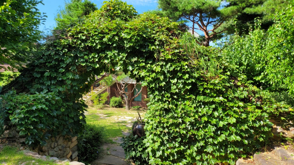 공1808 이미지