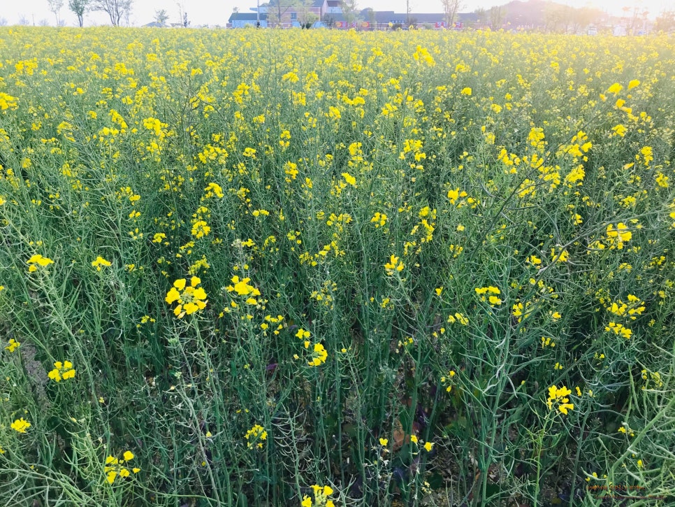 곰소토속젓갈건어물 이미지