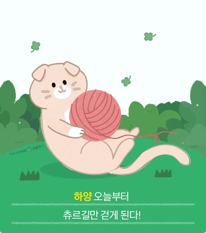 곰비임비 이미지