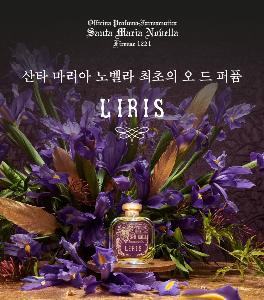 아이리스플라워 이미지