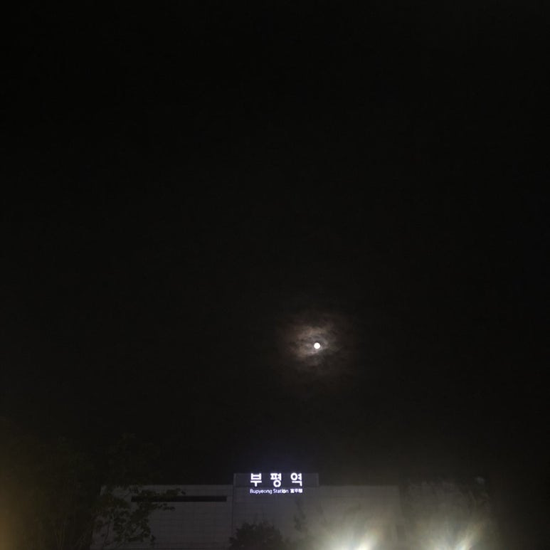 피자선생 부평점 이미지