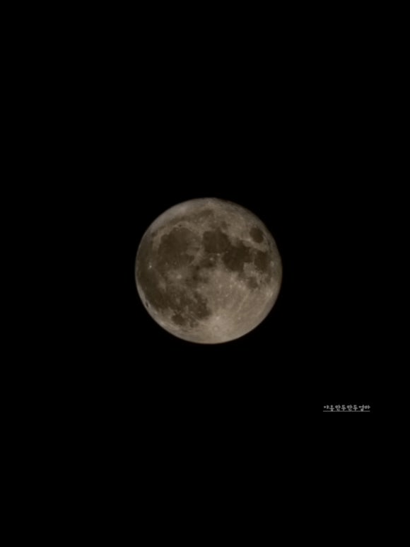 착한아구찜 이미지
