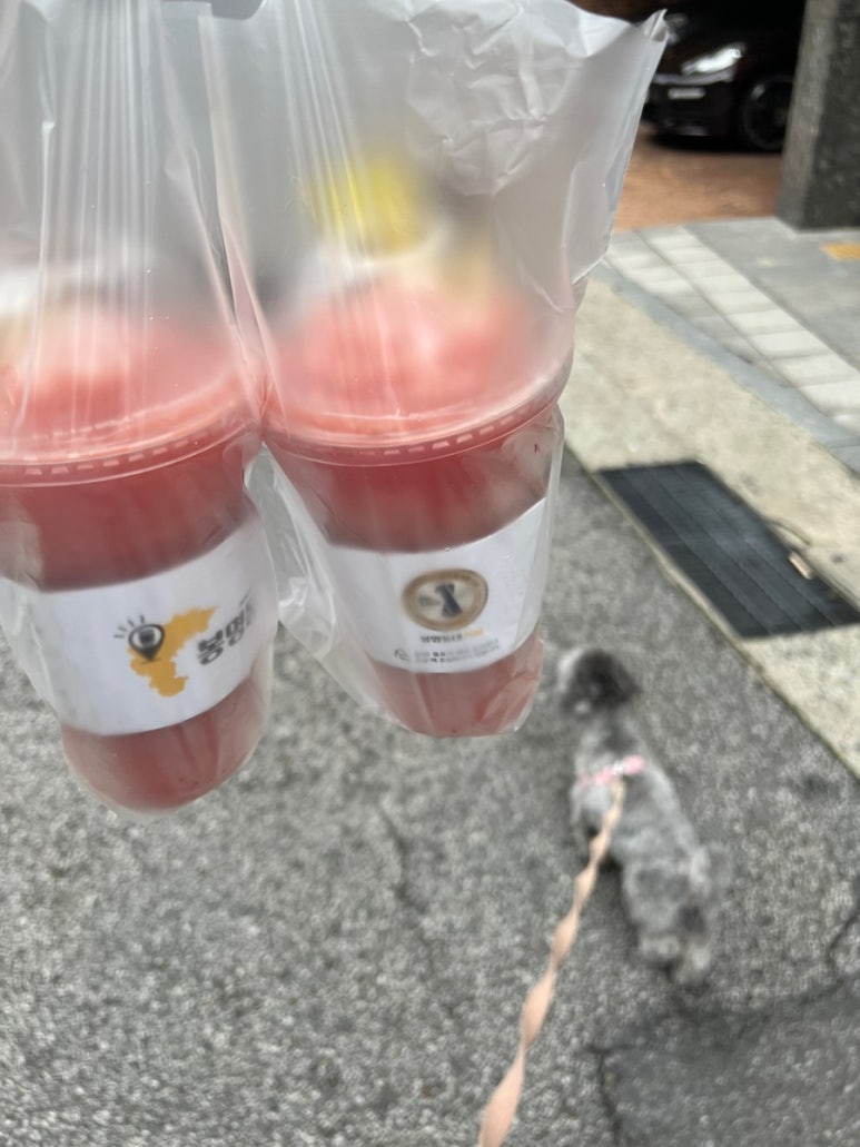 천지딜리버리 이미지