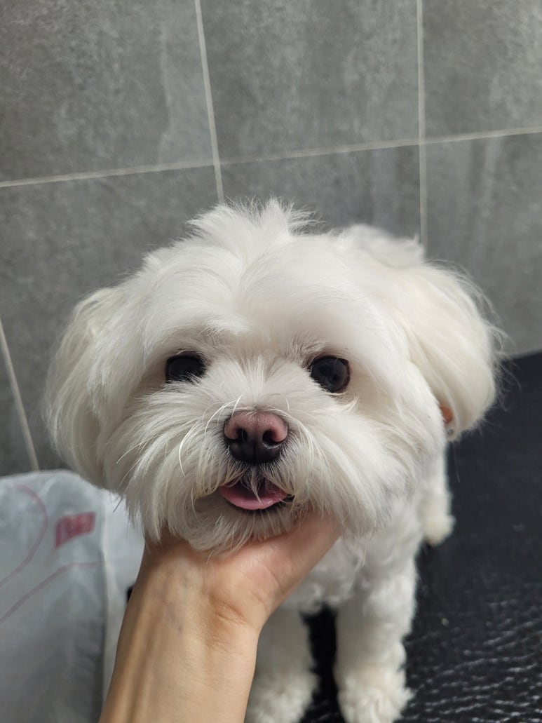 미소미용실 이미지