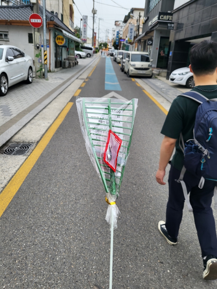 다이소영월점 이미지