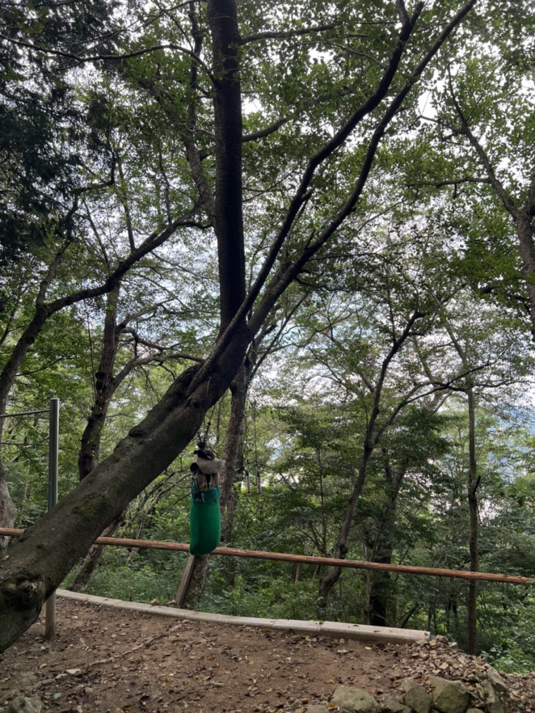 루비7080 이미지