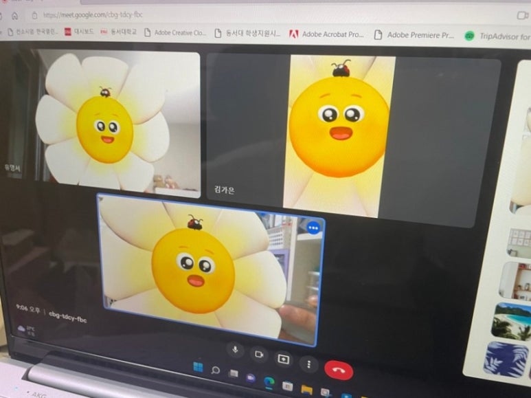가은미트 이미지