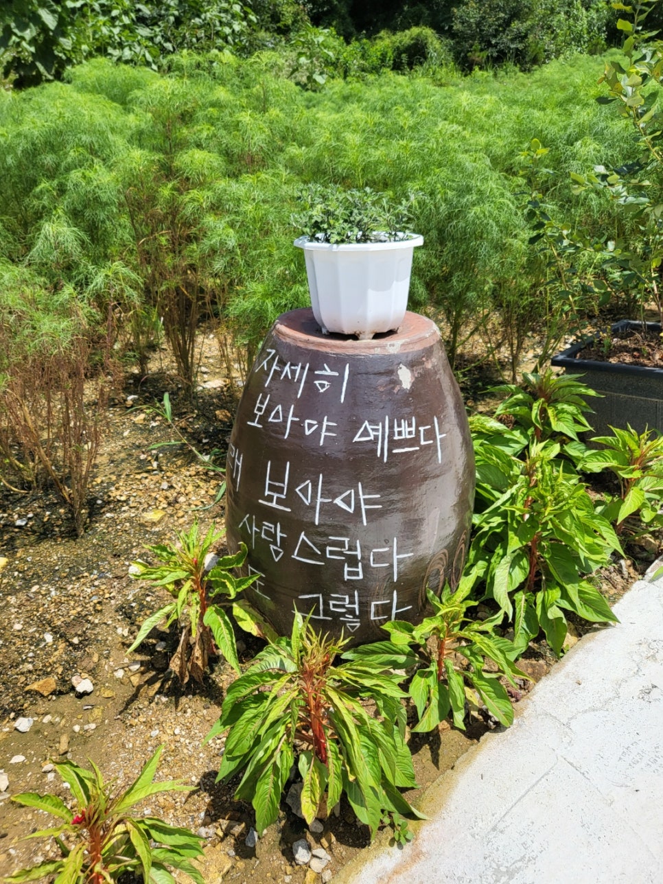 리버972 이미지