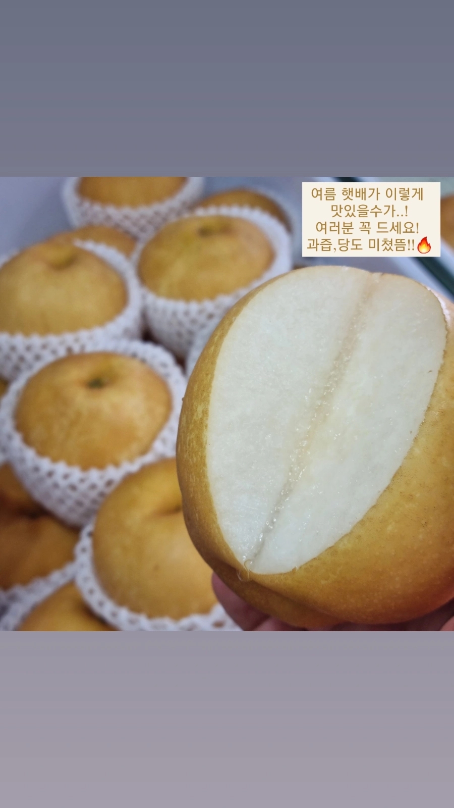 한아름청과 이미지