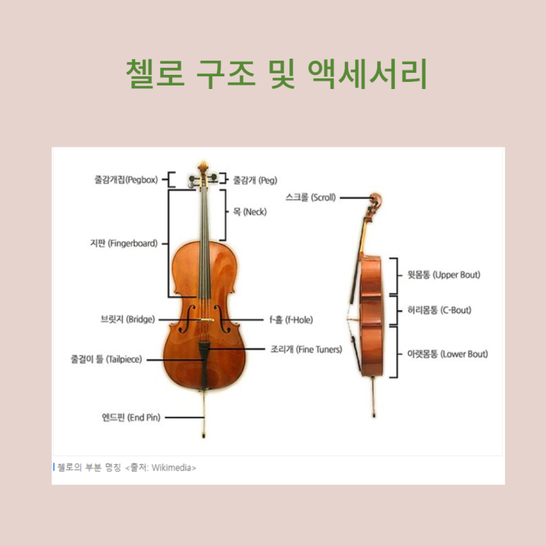 현악기사 이미지