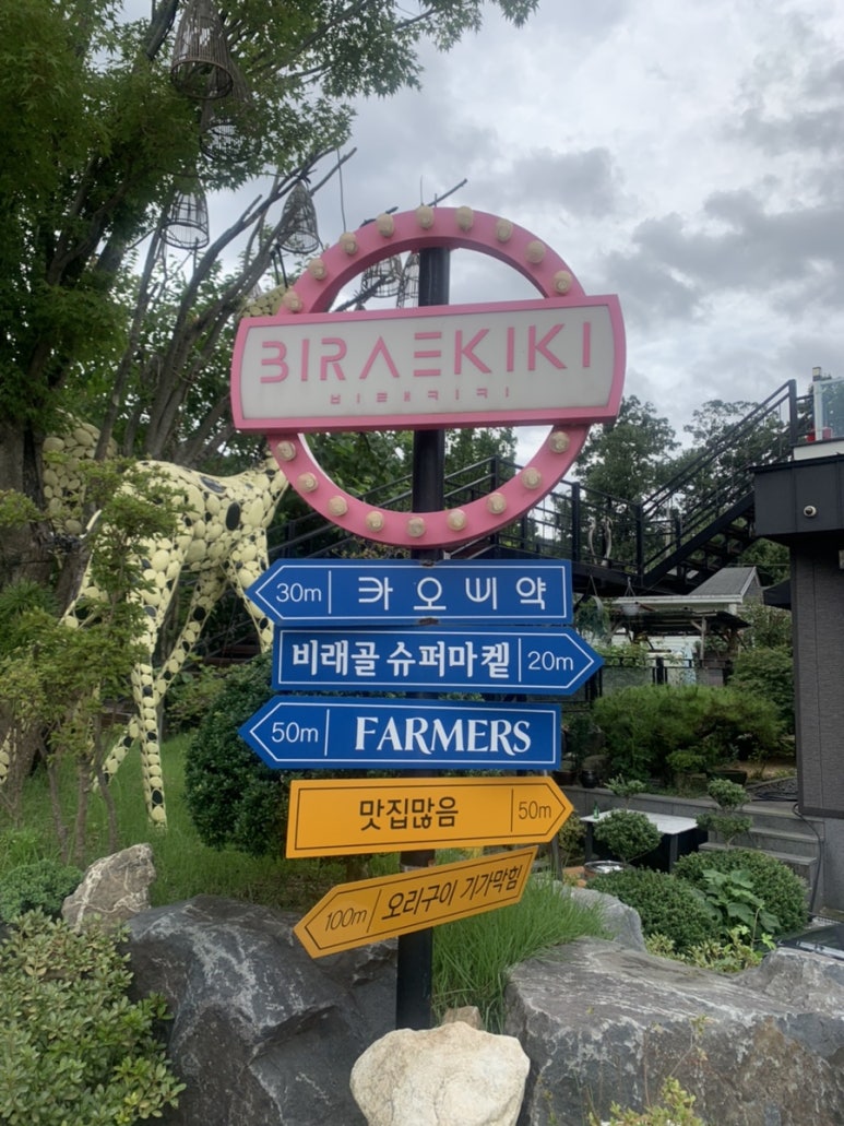 비래키키 이미지