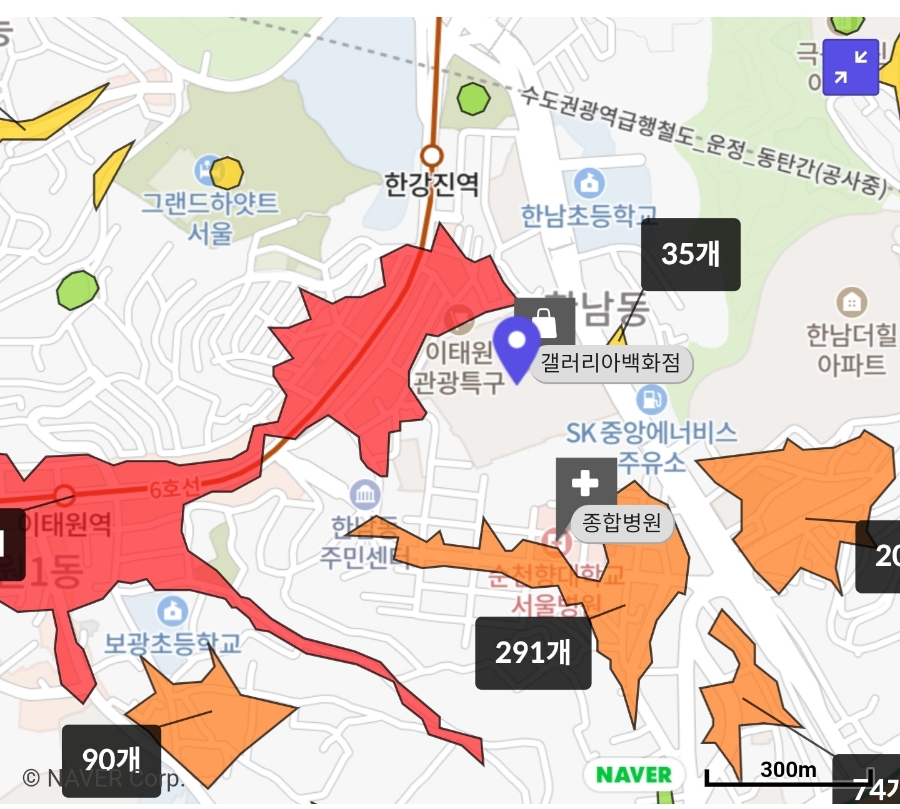 더마일스톤 이미지