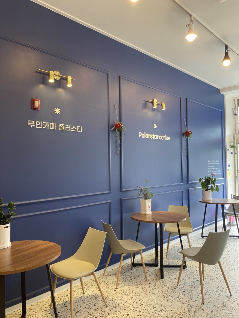 폴러스타커피 이미지