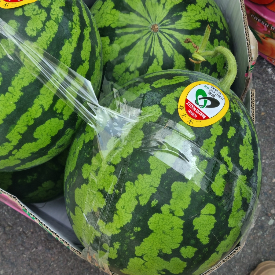 한아름청과 이미지