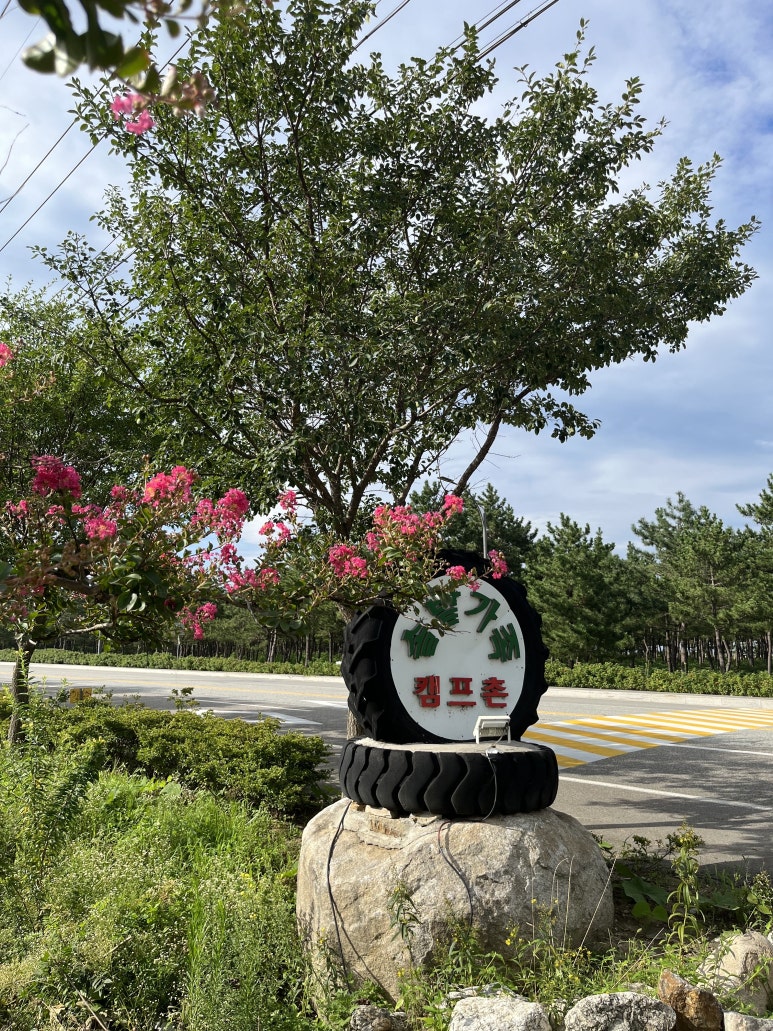 솔밭캠프촌매점 이미지