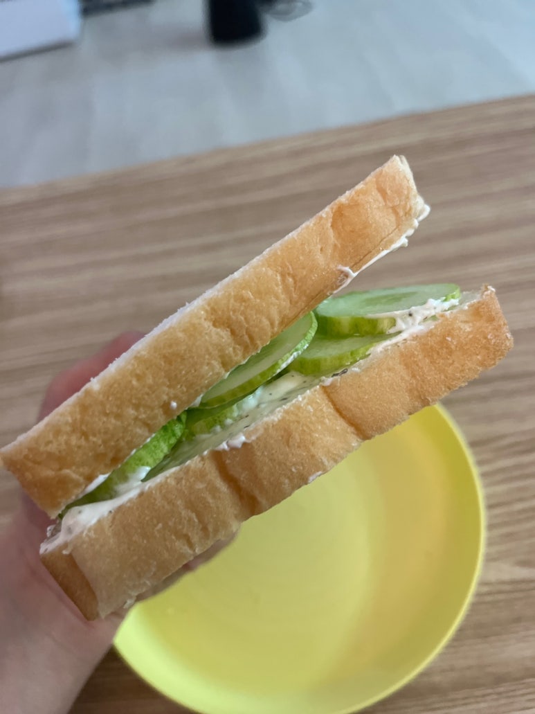 샌디치 이미지