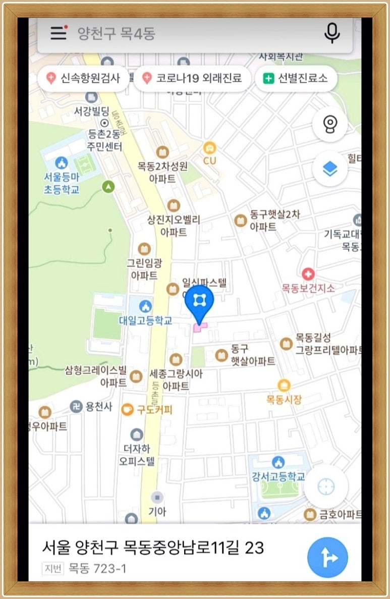 금목화 이미지