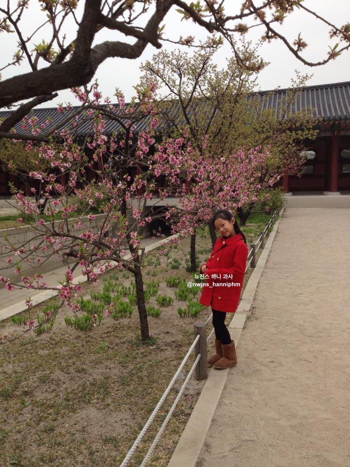 (주)다한 이미지