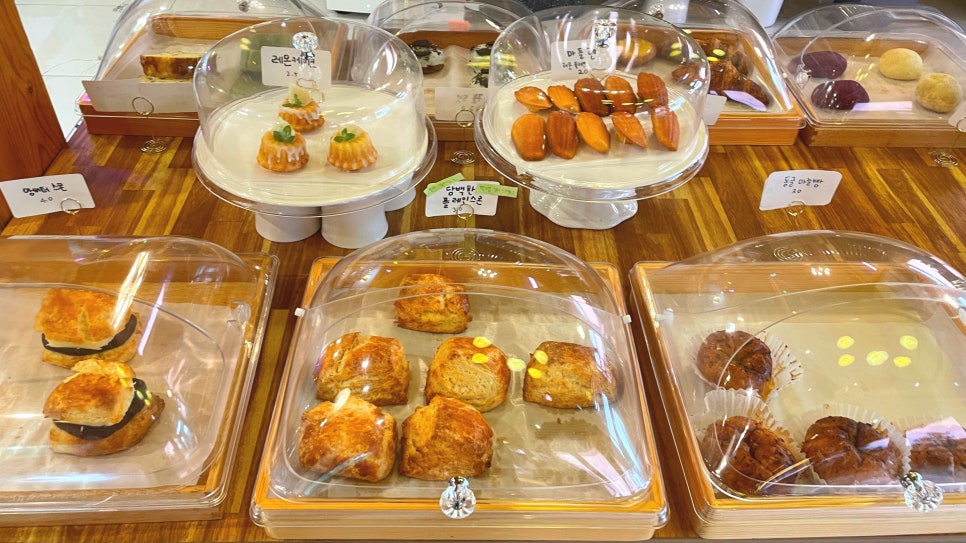 카페봄 이미지