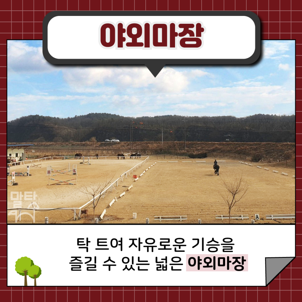 칸승마아카데미 이미지