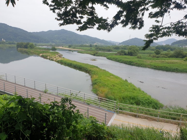 용뎅이매운탕 이미지