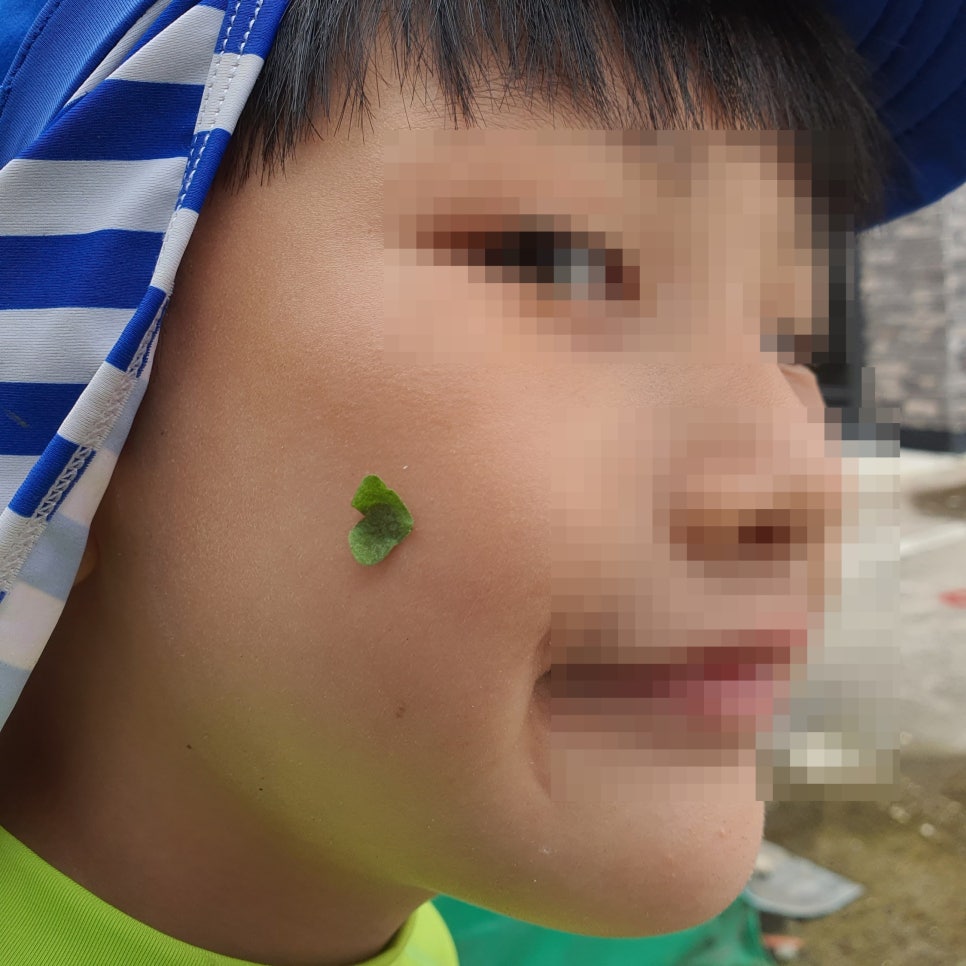 행복은 사랑이다. 클로바에서 찾은 진실~ — 원문 이미지 1