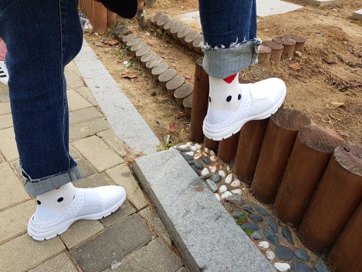 세스트 이미지