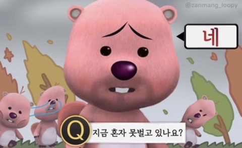 고운일상 이미지