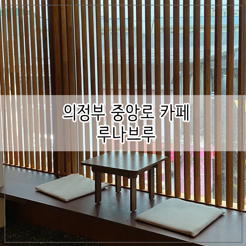 비나브이 이미지