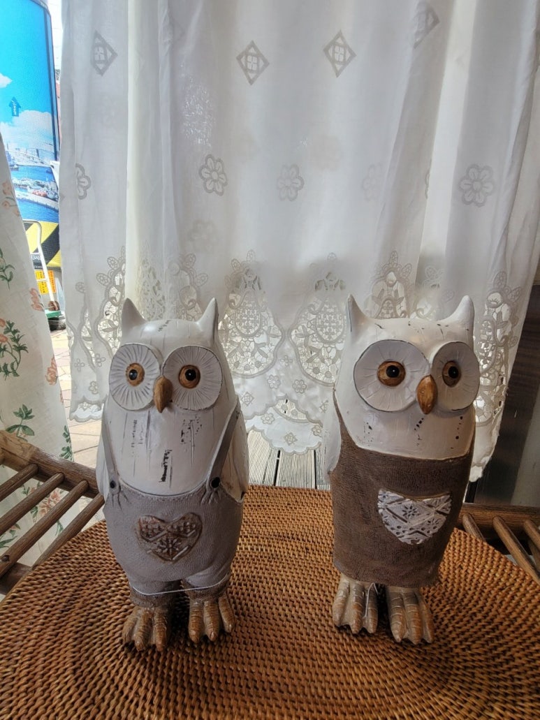 부엉이소품;잡화 이미지