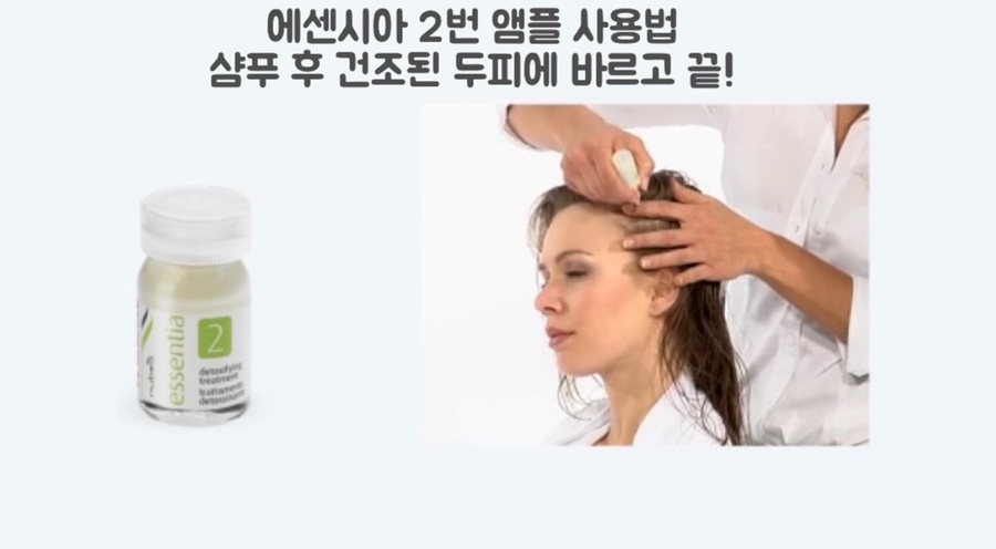 에센시아 이미지