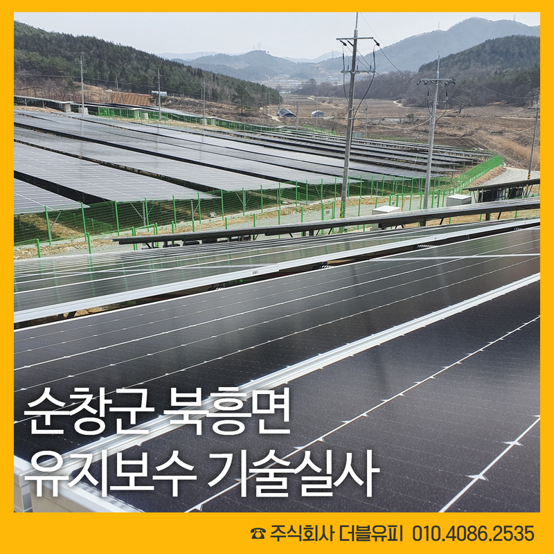 더블유피 이미지