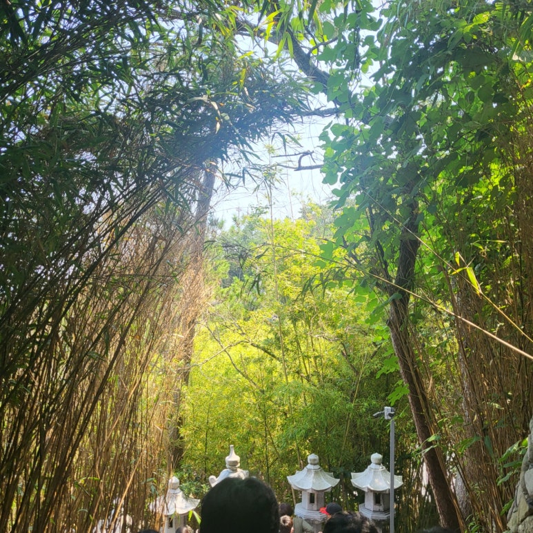 대웅수산 이미지