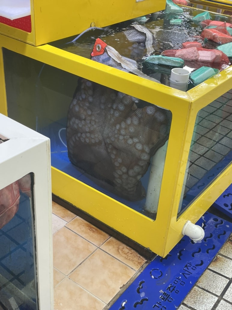 자이안트포장센타 이미지