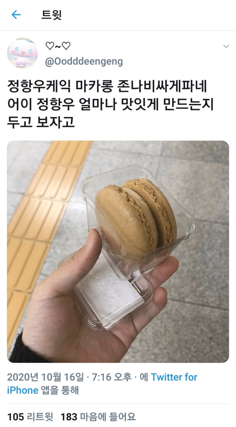 정항우케익 이미지