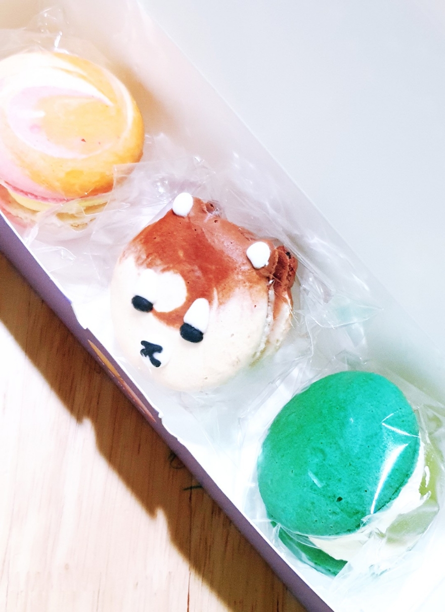 달곰마카롱 이미지