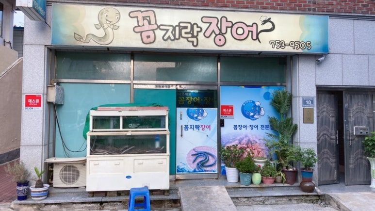 꼼지락장어 이미지
