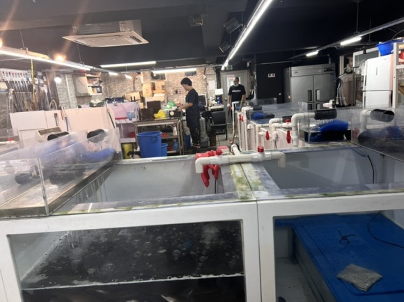 강쇠수산 이미지