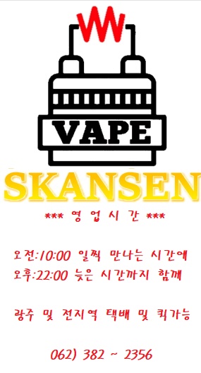 광주전자담배스칸센VAPE 이미지