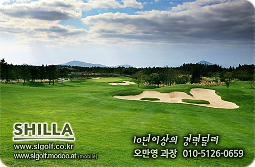 에스케이핀크스주식회사 이미지