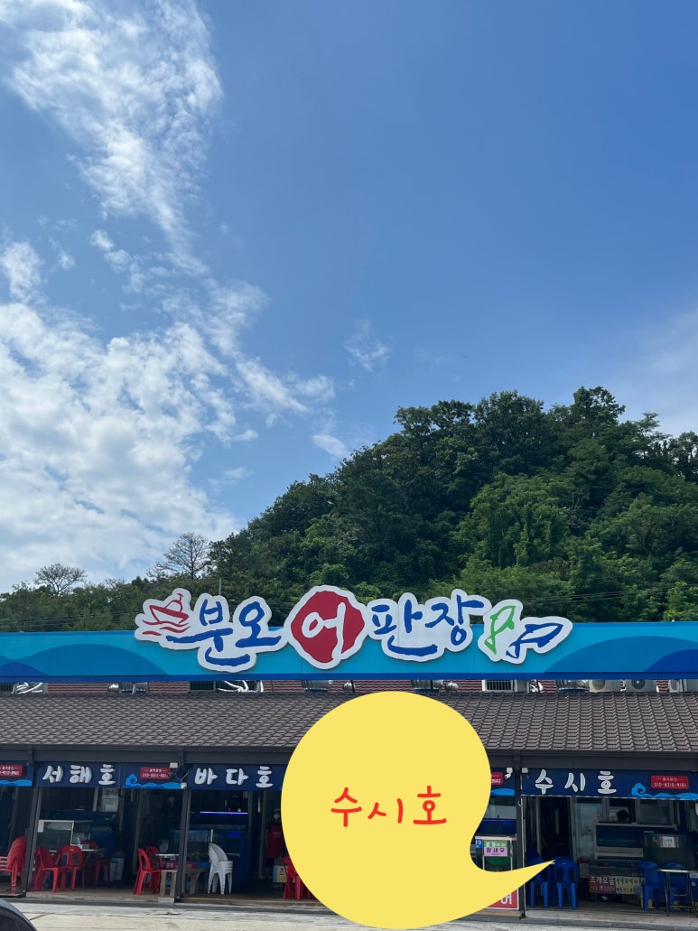 수시호 이미지