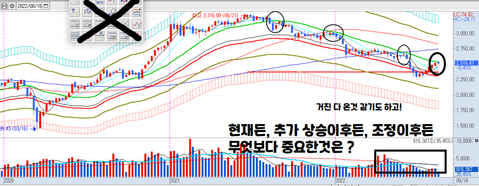 에스엘생명과학 이미지