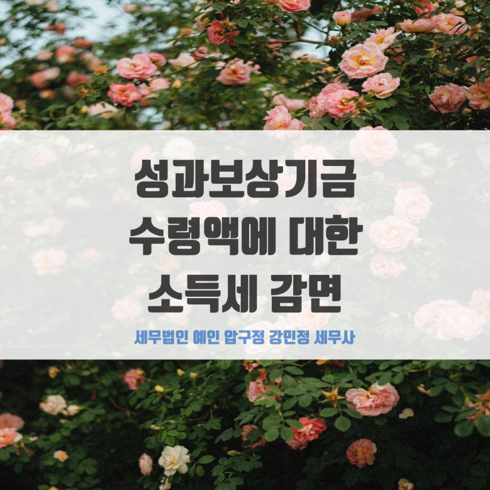 세무법인예인압구정 이미지
