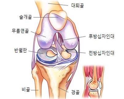 성모정형외과 이미지