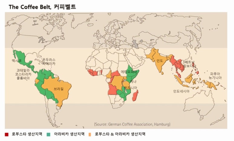 정커피 이미지
