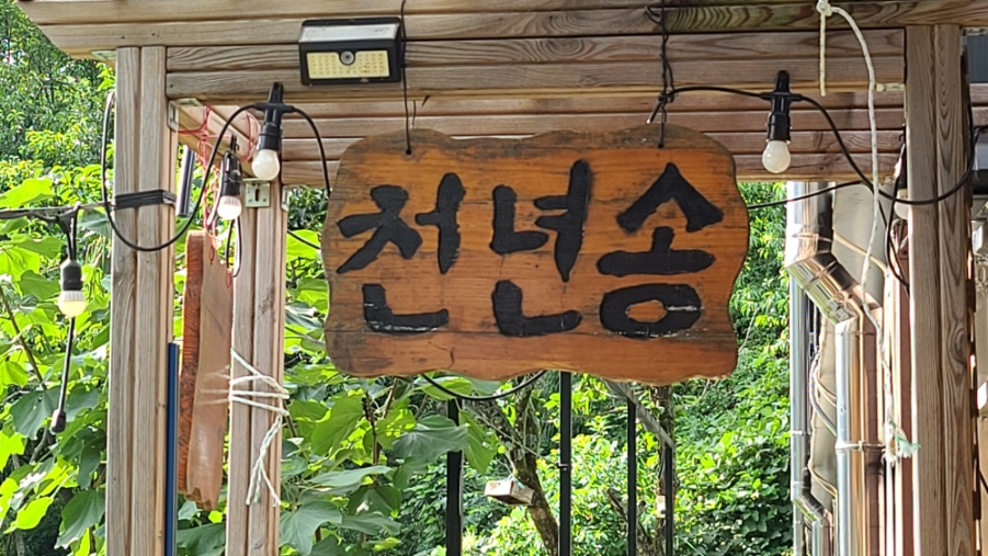 천년송가는길 이미지