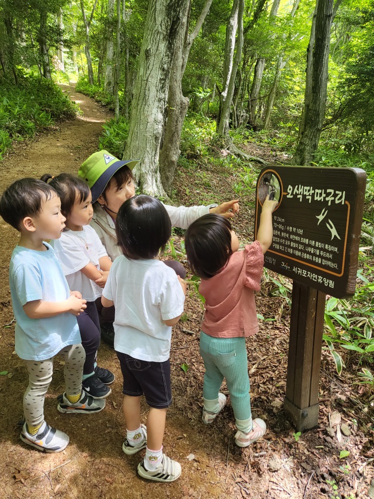 푸리롱 유아숲체험원 이미지