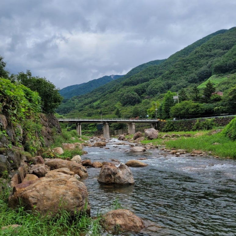 지리산녹차별펜션 이미지