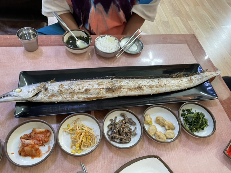 서울앵무새 연구소 이미지