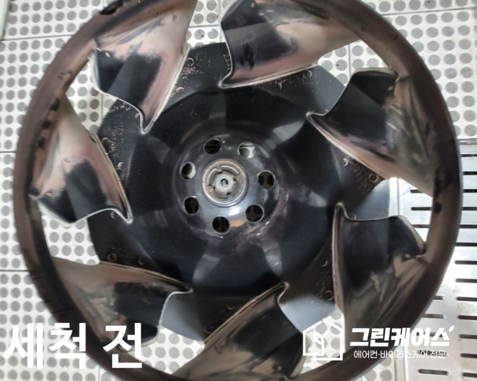 그린케어스 이미지